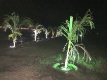 magnanimous_greenz_2_pg_27